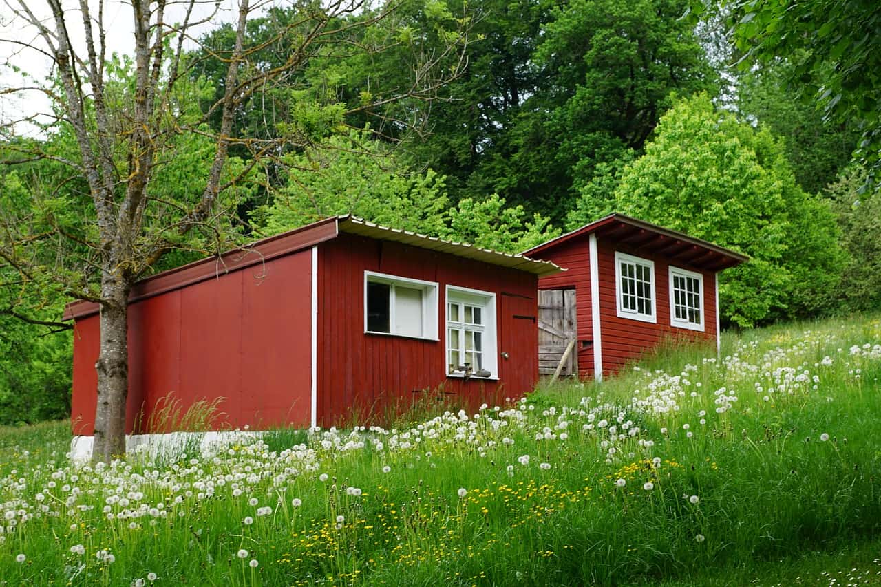 red small house at the forest