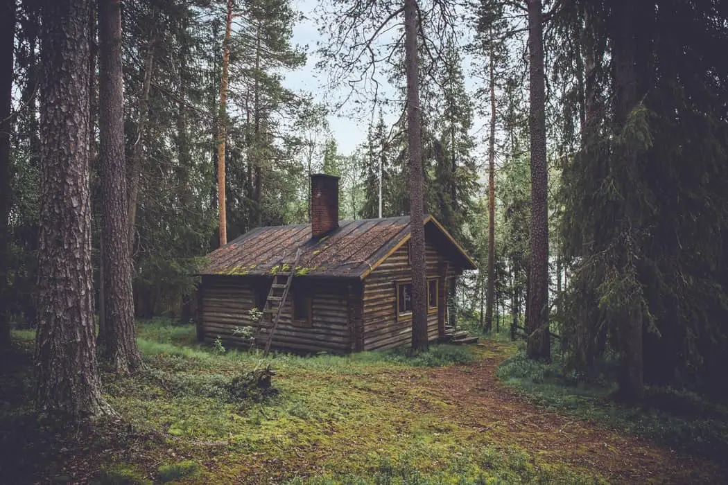 small wooden house in forest